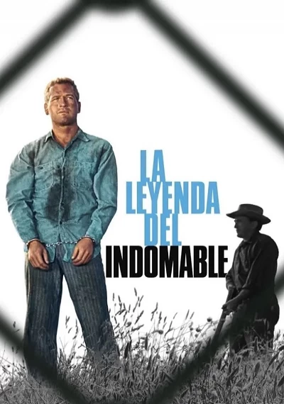 ver La leyenda del indomable